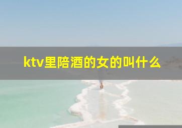 ktv里陪酒的女的叫什么