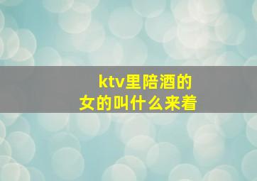 ktv里陪酒的女的叫什么来着