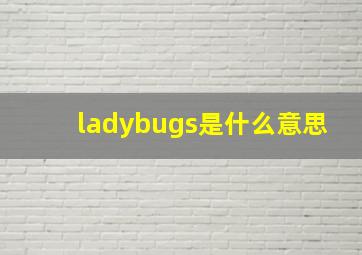 ladybugs是什么意思