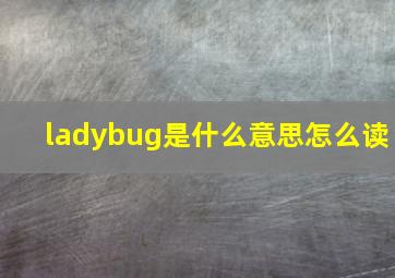 ladybug是什么意思怎么读