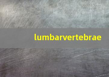 lumbarvertebrae