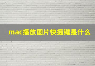 mac播放图片快捷键是什么