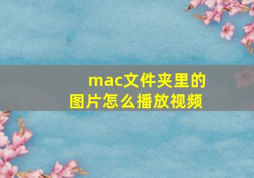 mac文件夹里的图片怎么播放视频