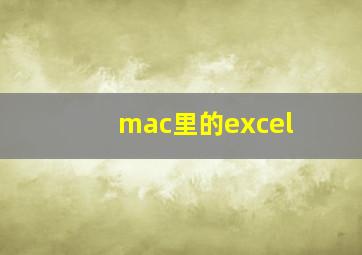 mac里的excel