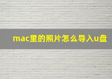 mac里的照片怎么导入u盘