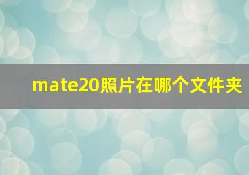 mate20照片在哪个文件夹