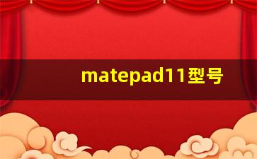 matepad11型号