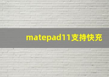 matepad11支持快充