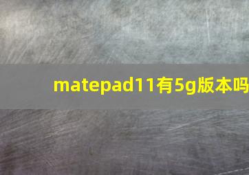 matepad11有5g版本吗