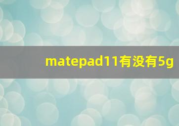 matepad11有没有5g