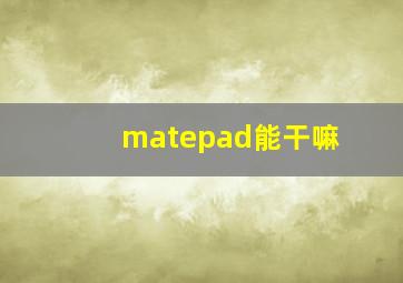 matepad能干嘛