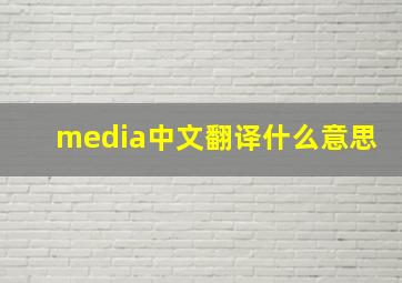 media中文翻译什么意思