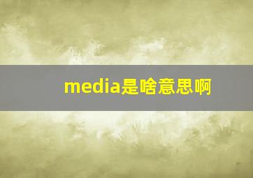 media是啥意思啊