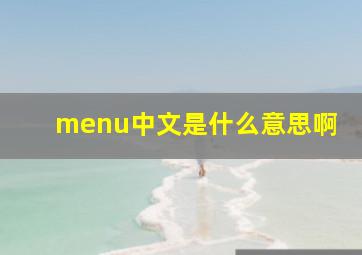 menu中文是什么意思啊