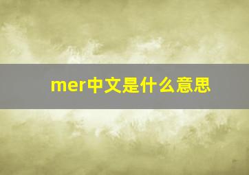 mer中文是什么意思