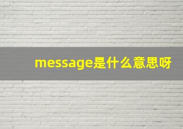 message是什么意思呀