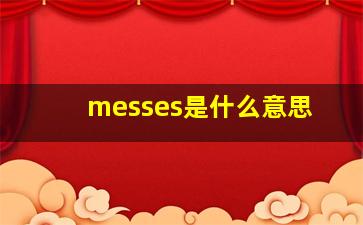 messes是什么意思