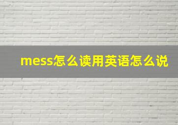 mess怎么读用英语怎么说