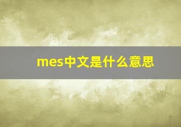 mes中文是什么意思