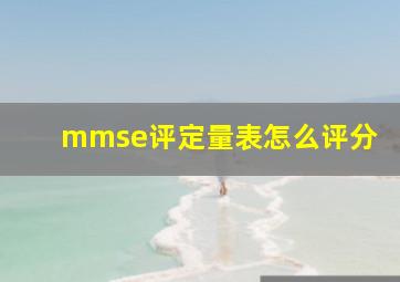 mmse评定量表怎么评分