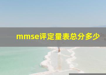 mmse评定量表总分多少