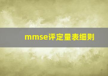 mmse评定量表细则