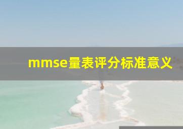 mmse量表评分标准意义