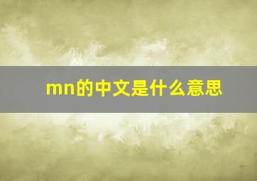 mn的中文是什么意思