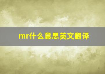 mr什么意思英文翻译