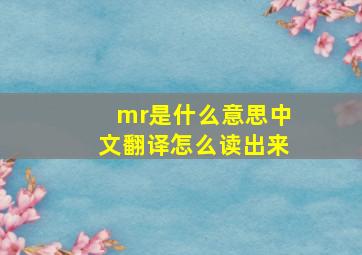 mr是什么意思中文翻译怎么读出来