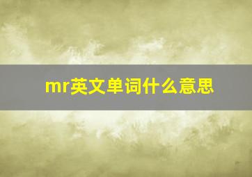 mr英文单词什么意思