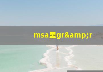 msa里gr&r