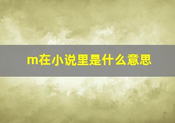 m在小说里是什么意思