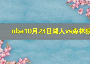 nba10月23日湖人vs森林狼