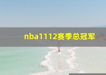 nba1112赛季总冠军