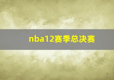 nba12赛季总决赛