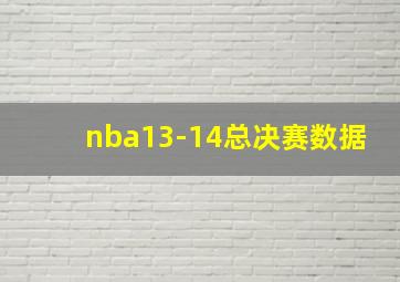 nba13-14总决赛数据