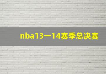 nba13一14赛季总决赛