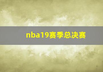 nba19赛季总决赛