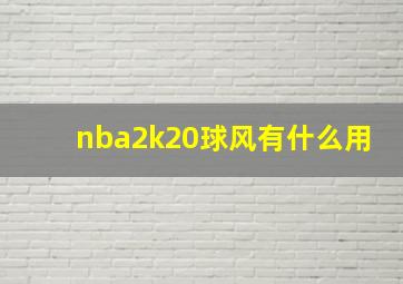 nba2k20球风有什么用