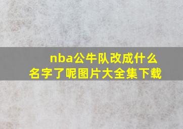 nba公牛队改成什么名字了呢图片大全集下载