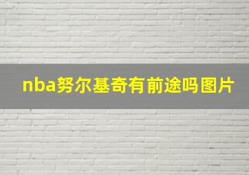 nba努尔基奇有前途吗图片