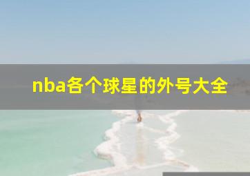 nba各个球星的外号大全