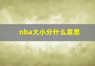 nba大小分什么意思