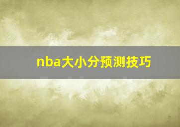 nba大小分预测技巧