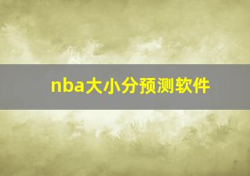 nba大小分预测软件