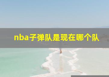 nba子弹队是现在哪个队