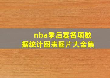 nba季后赛各项数据统计图表图片大全集