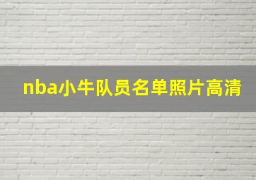 nba小牛队员名单照片高清