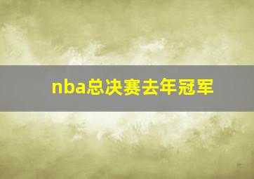 nba总决赛去年冠军